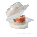 PVC Plastic Transparent Denture Storage Cases With Sponge